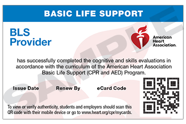 20 3001 BLS Prov eCard Wallet